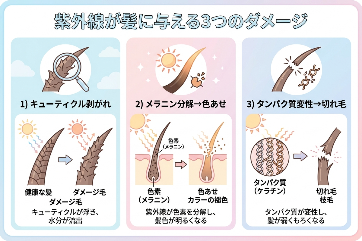 紫外線が髪に与える3つのダメージ