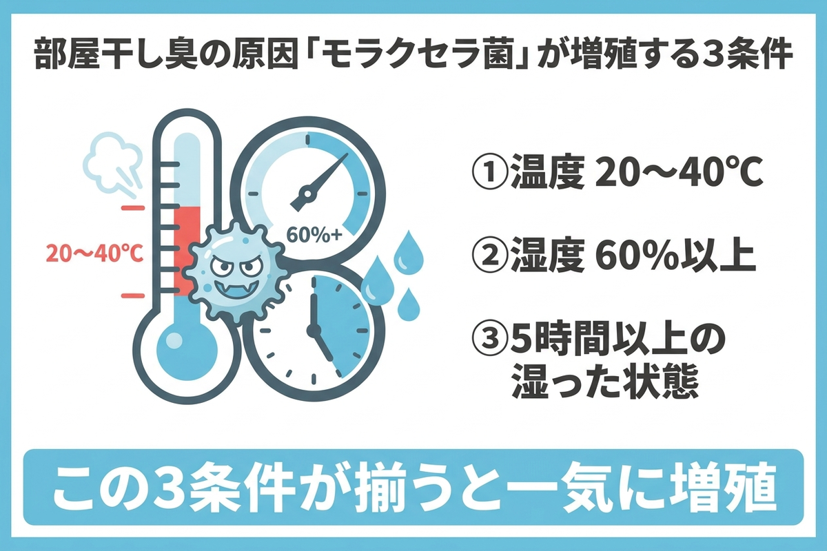 部屋干し臭の原因菌モラクセラ菌が増殖する条件を示すインフォグラフィック