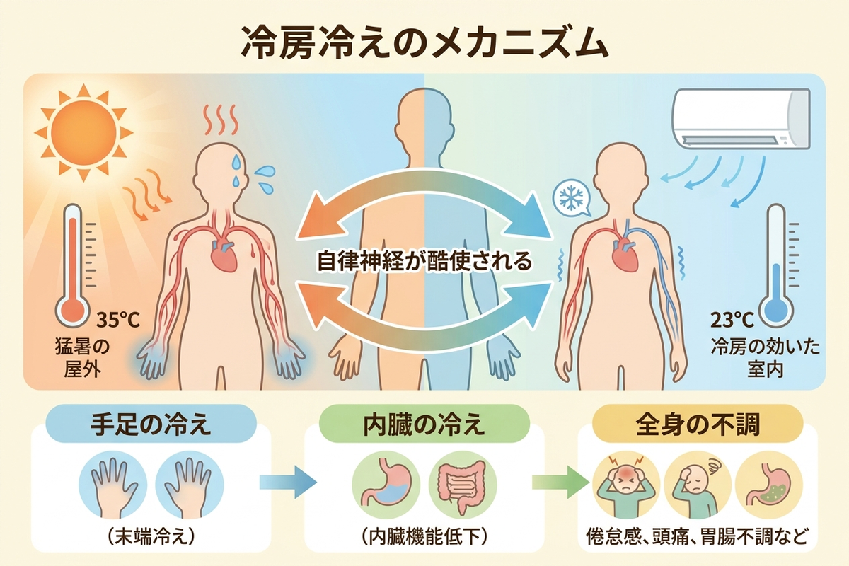 冷房による屋内外の温度差で自律神経が乱れ、手足の冷えから全身の不調へ進むメカニズムを示した日本語の図解