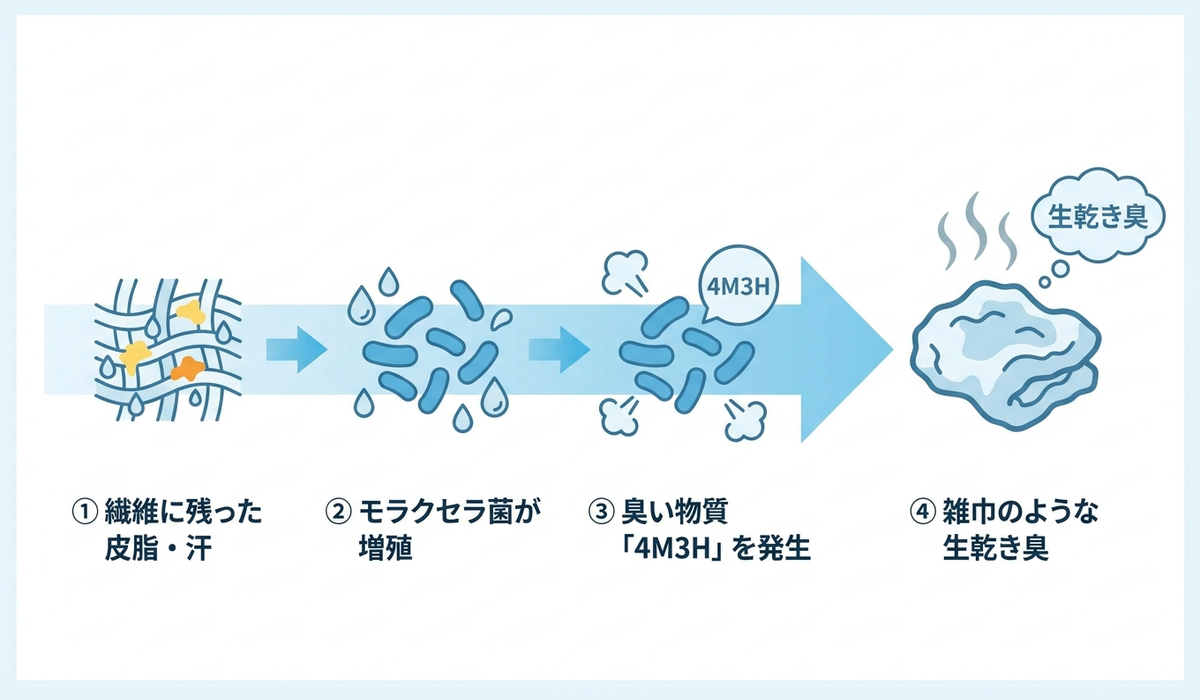 生乾き臭の原因菌モラクセラ菌が4M3Hという臭い物質を作り出す仕組みを示した日本語の図解
