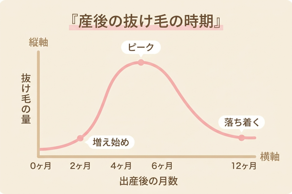 産後の抜け毛の時期を示すグラフ