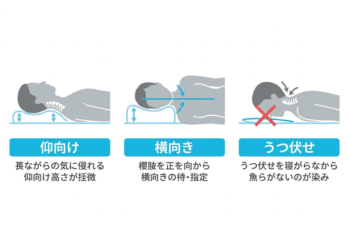 仰向け・横向き・うつ伏せの寝姿勢と首のカーブの関係を示す図解