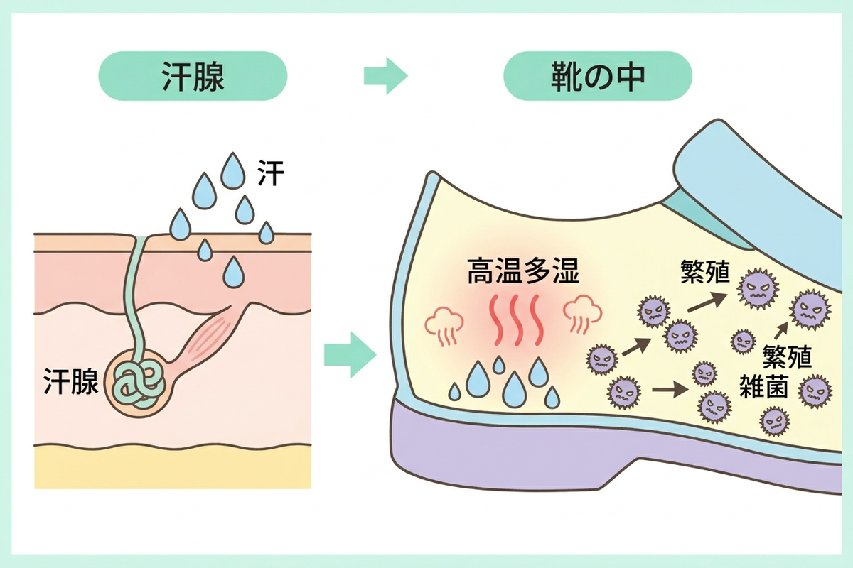 足のニオイが発生する仕組みを示す図解
