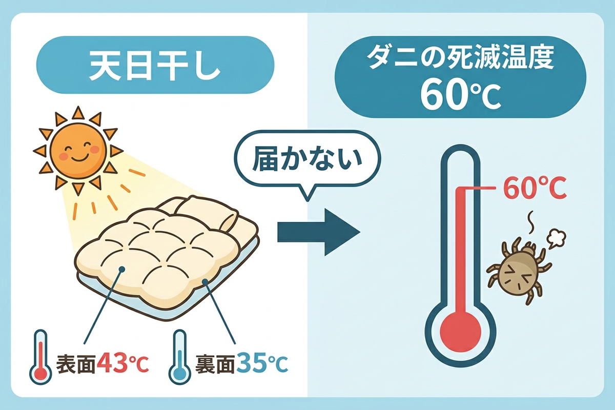 布団の表面温度と裏面温度、ダニの死滅温度60℃を比較した図