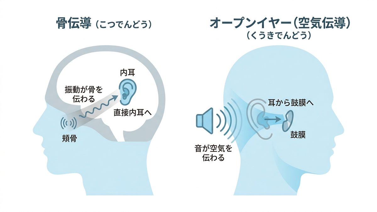 骨伝導とオープンイヤーの音が伝わる仕組みの違い
