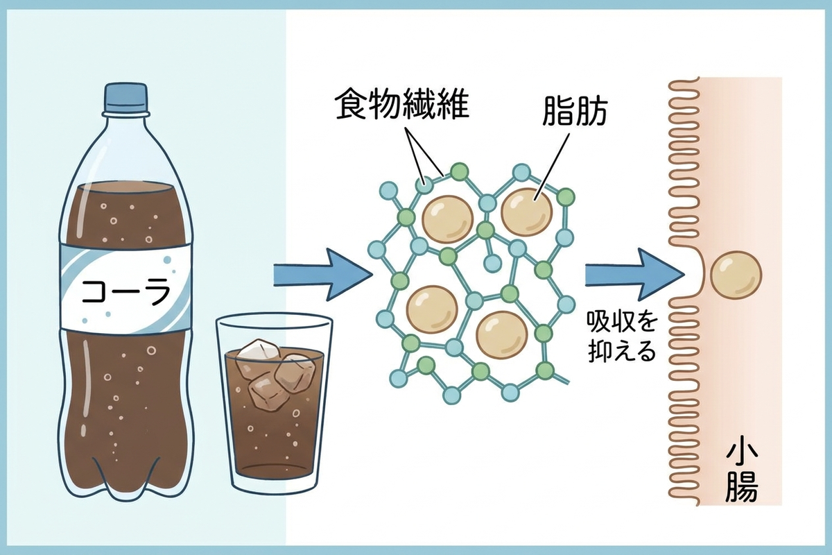 メッツコーラのペットボトルと難消化性デキストリンのイメージ図