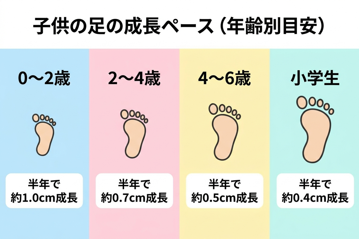 子供の足の成長ペースを年齢別に示した図解