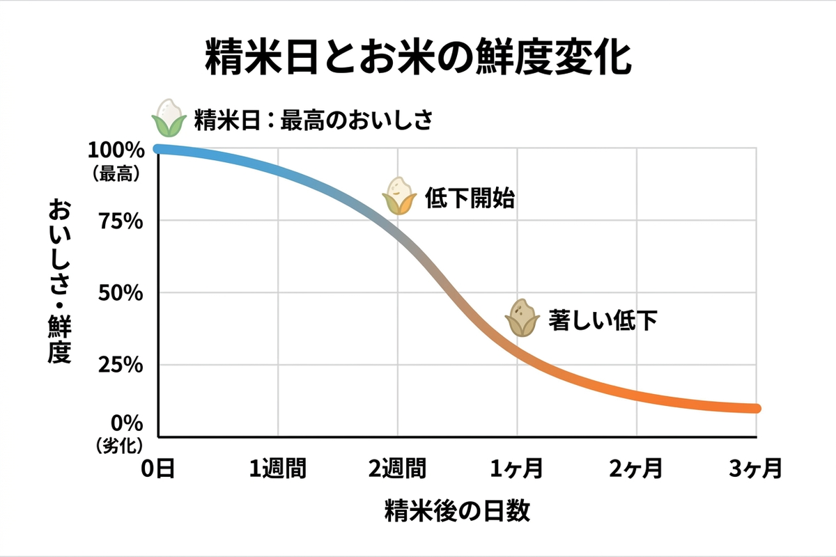 精米日からの経過日数と米の鮮度低下を示すイメージ