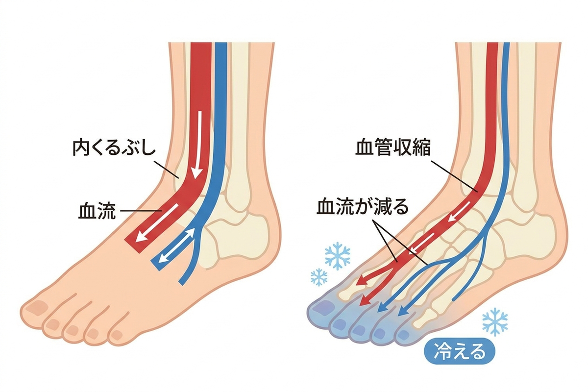 足の血流と冷えの仕組みを示す図解