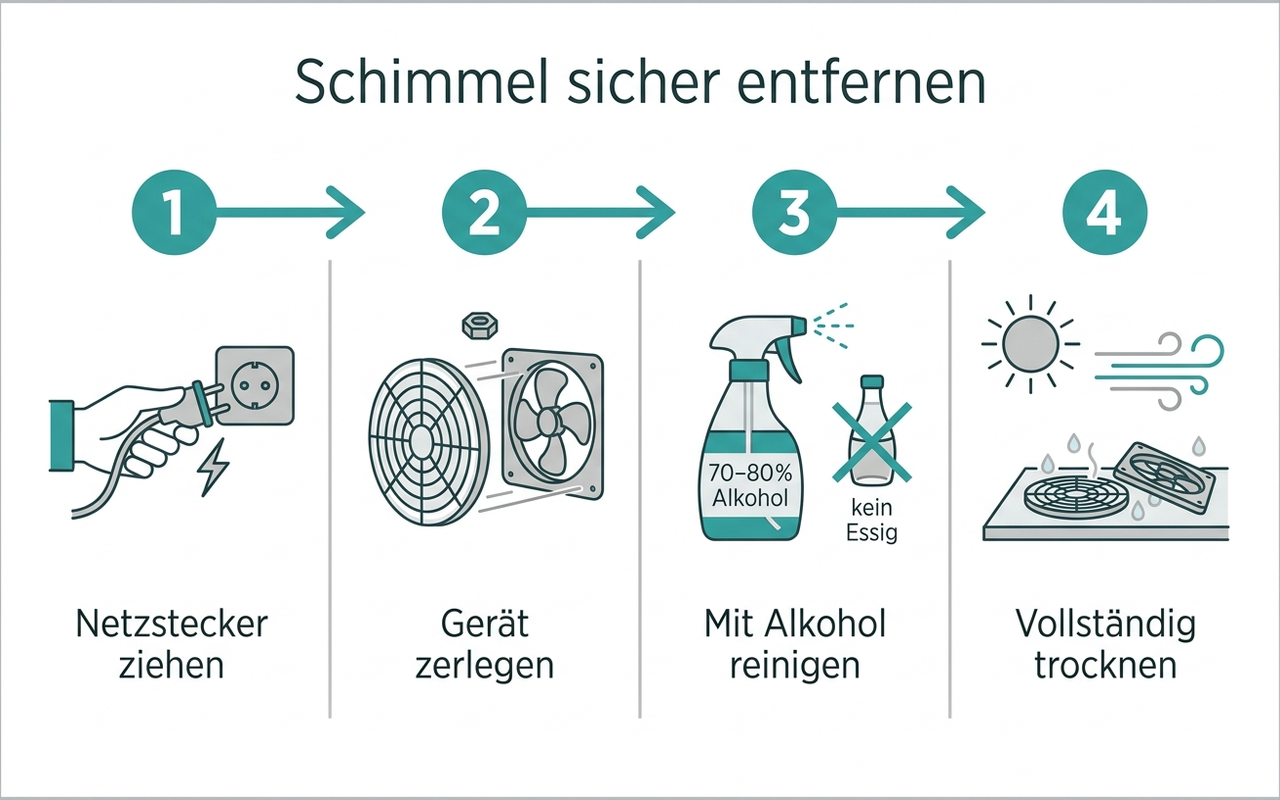 Reinigungs-Anleitung als Infografik: Schritte zur sicheren Schimmelentfernung am Ventilator – Stecker ziehen, zerlegen, mit 70–80 Prozent Alkohol reinigen, kein Essig, trocknen lassen, deutsche Beschriftungen
