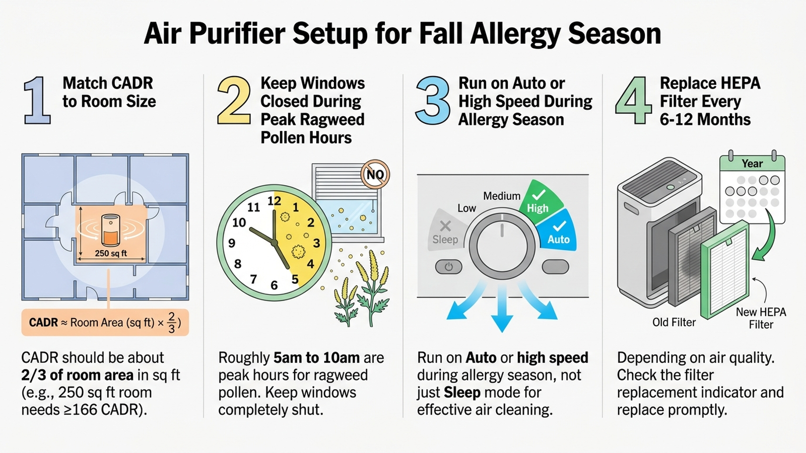 Infographic showing four steps for using an air purifier during fall allergy season: match CADR to room size so CADR is about two-thirds of the room's square footage, keep windows closed during peak ragweed pollen hours of roughly 5am to 10am, run the purifier on Auto or high speed during allergy season rather than only Sleep mode, and replace the HEPA filter every 6 to 12 months depending on air quality.