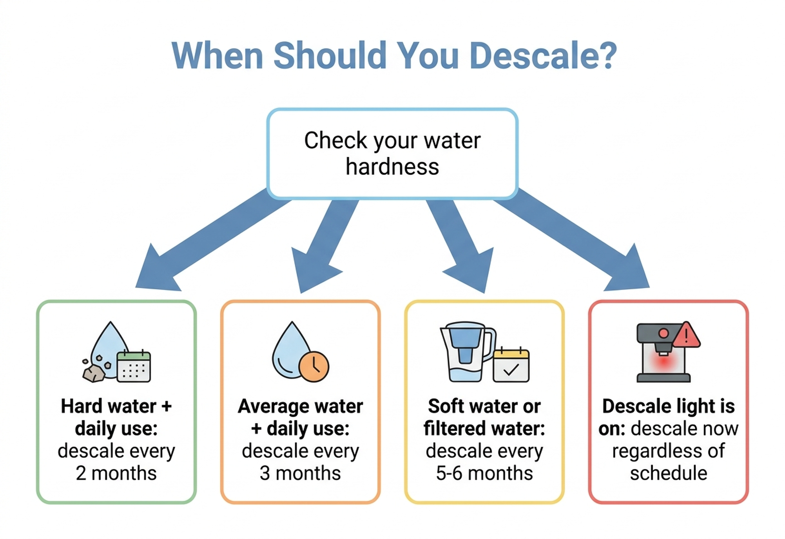 Flat-design decision flowchart titled When Should You Descale, starting with checking water hardness and branching to four schedules: hard water and daily use every two months, average water and daily use every three months, soft or filtered water every five to six months, and descale immediately if the descale light is on