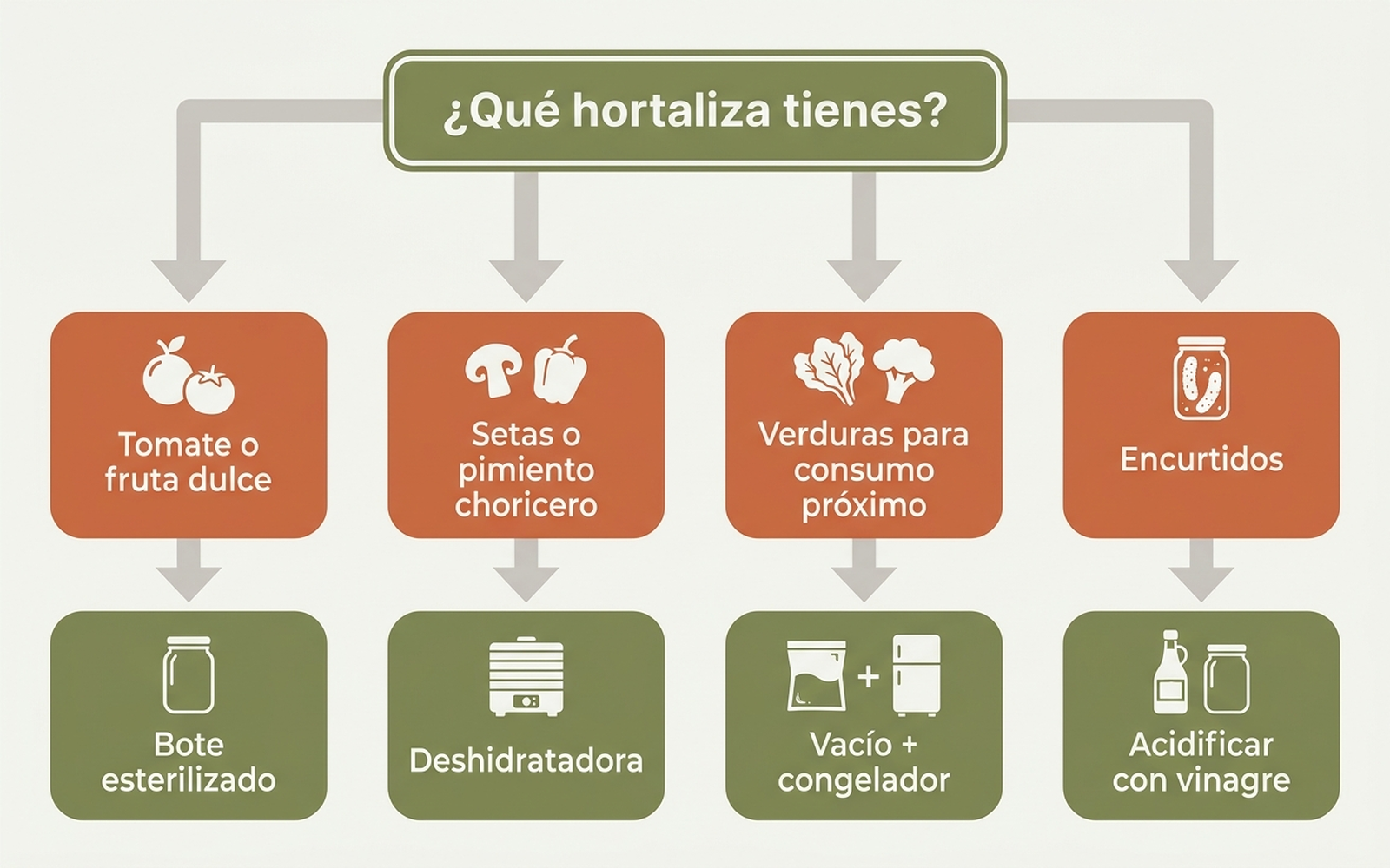 Árbol de decisión: qué método usar según el tipo de hortaliza de otoño y la duración de conservación deseada