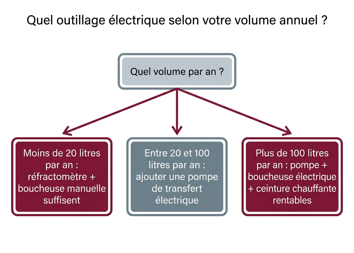 Arbre de décision : quel outillage électrique choisir selon le volume de vin ou de moût produit par an
