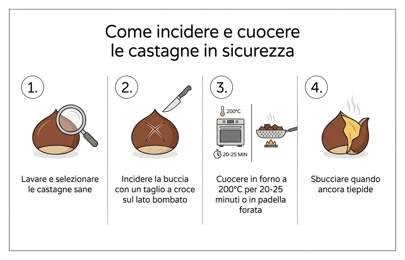 Infografica con i passaggi per incidere e cuocere le castagne in sicurezza: selezione, incisione a croce, cottura in forno o padella forata, sbucciatura a caldo