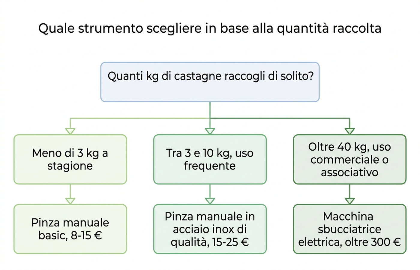 Albero decisionale per scegliere lo strumento in base ai chilogrammi di castagne raccolti a stagione